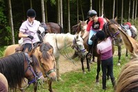 Cours d'équitation de Pleine Nature